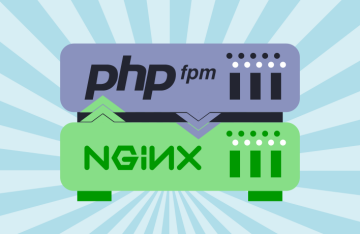 PHP-FPM vs Nginx Unit for WordPress: advantages and disadvantages